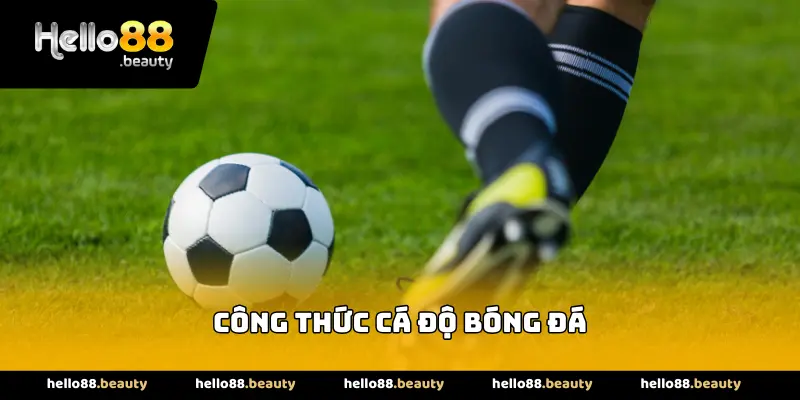 Công thức cá độ bóng đá