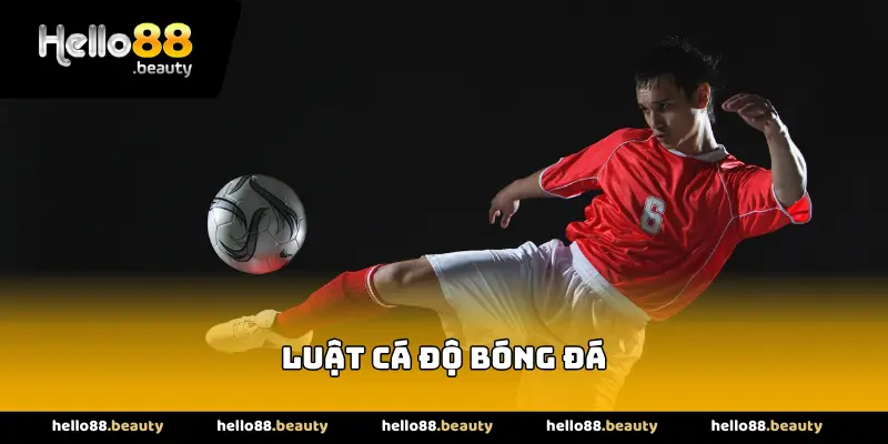 Luật cá độ bóng đá