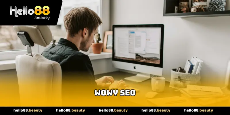 Wowy SEO