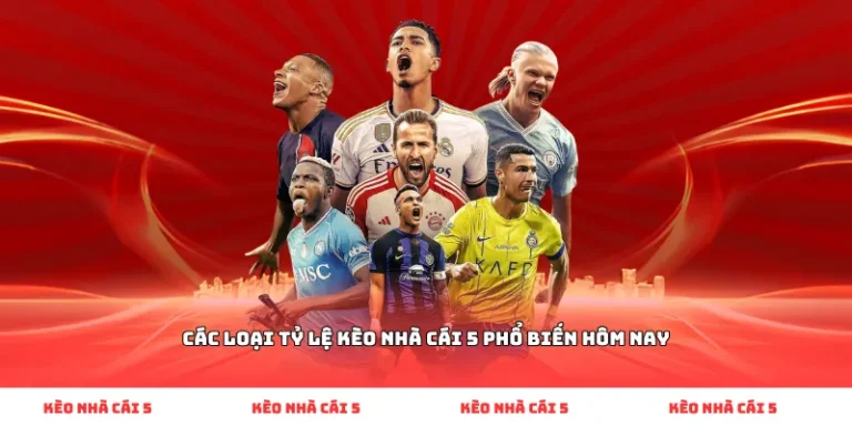 Hệ sinh thái tiện ích toàn diện hỗ trợ tối đa nhu cầu theo dõi và phân tích bóng đá của người dùng.