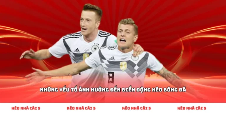 Hạ tầng mạng băng thông rộng đảm bảo dữ liệu thể thao được làm mới liên tục với độ trễ bằng không.